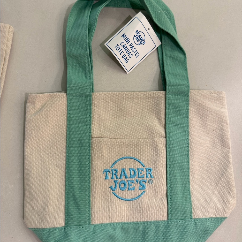 Mint green and Cream Canvas MINI Tote Bag